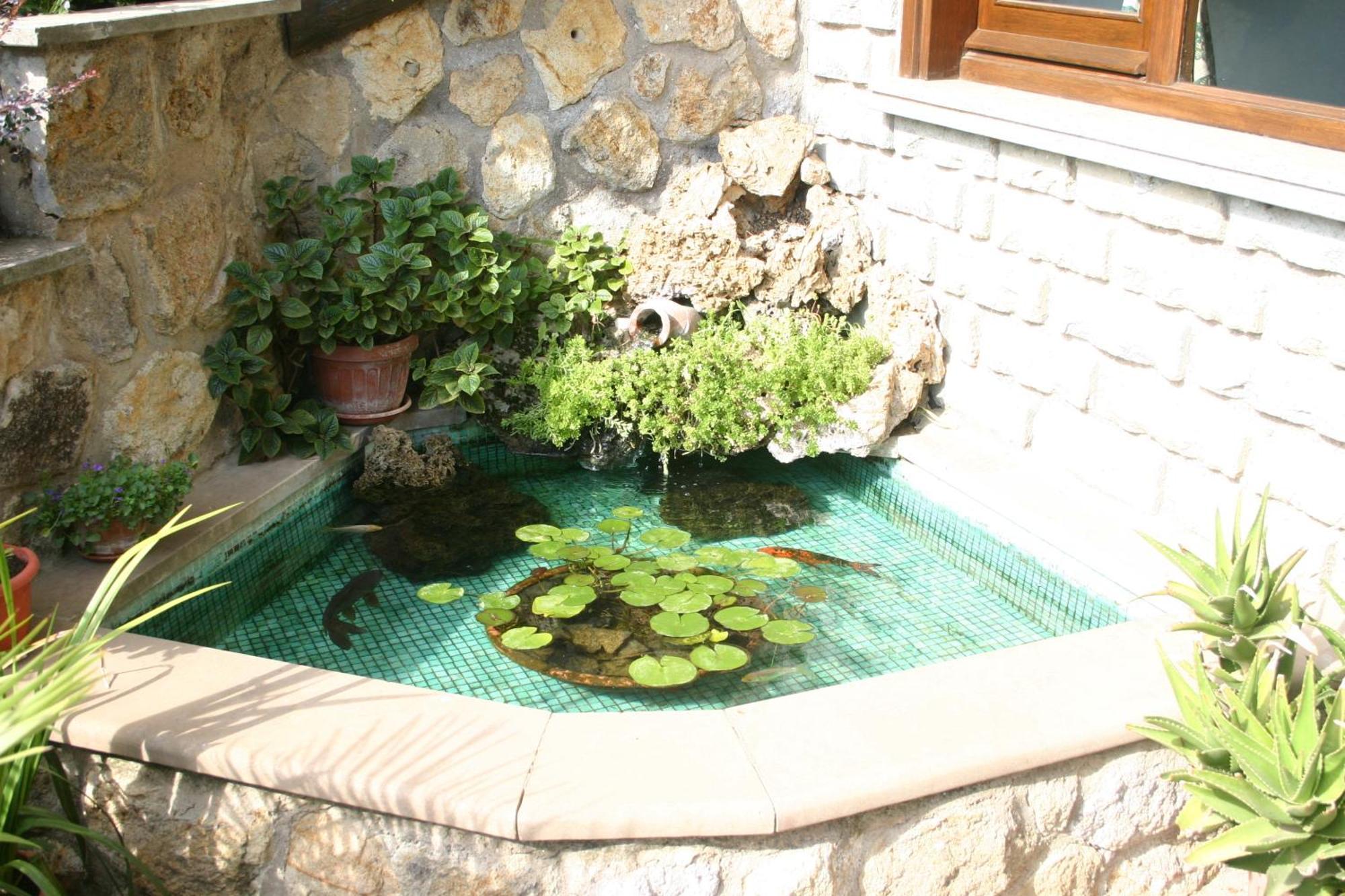 B&B Le Palme Bassano Romano 외부 사진